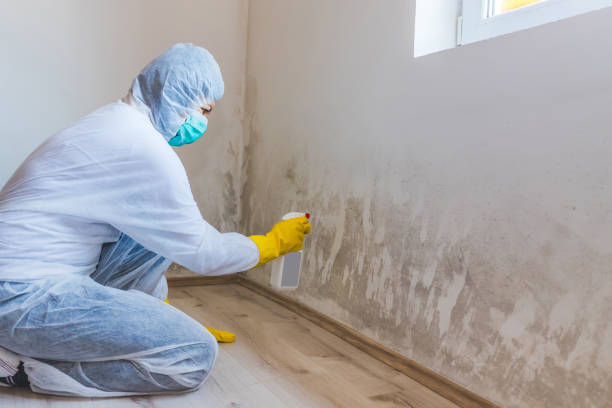 Licensed Crawl Space Mold Removal service in Belleair Beach, FL - WQB Mold Removal