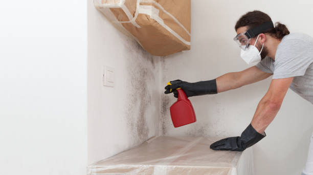Professional Crawl Space Mold Removal technician working in Belleair Beach, FL