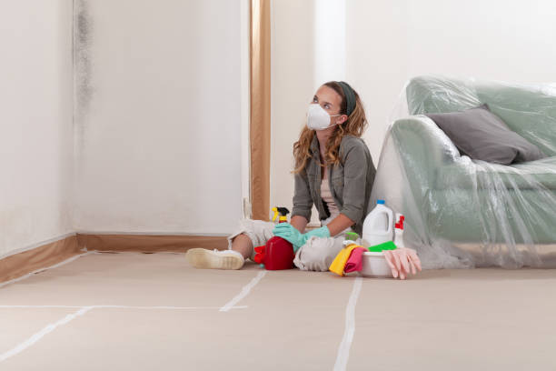 Reliable Crawl Space Mold Removal contractor in Belleair Beach, FL by WQB Mold Removal