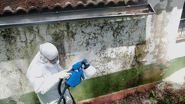 Top rated local Crawl Space Mold Removal specialists in Belleair Beach, FL